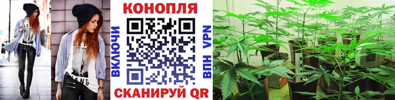 Конопля VHQ  Купить  Великие Луки 